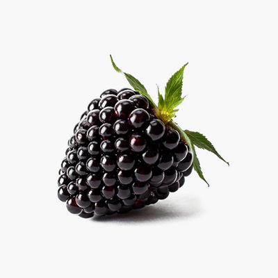 Blackberry