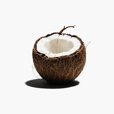 Coconut