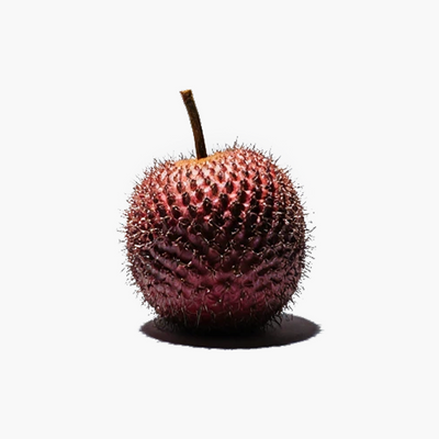 Litchi