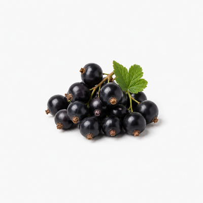 Blackcurrant